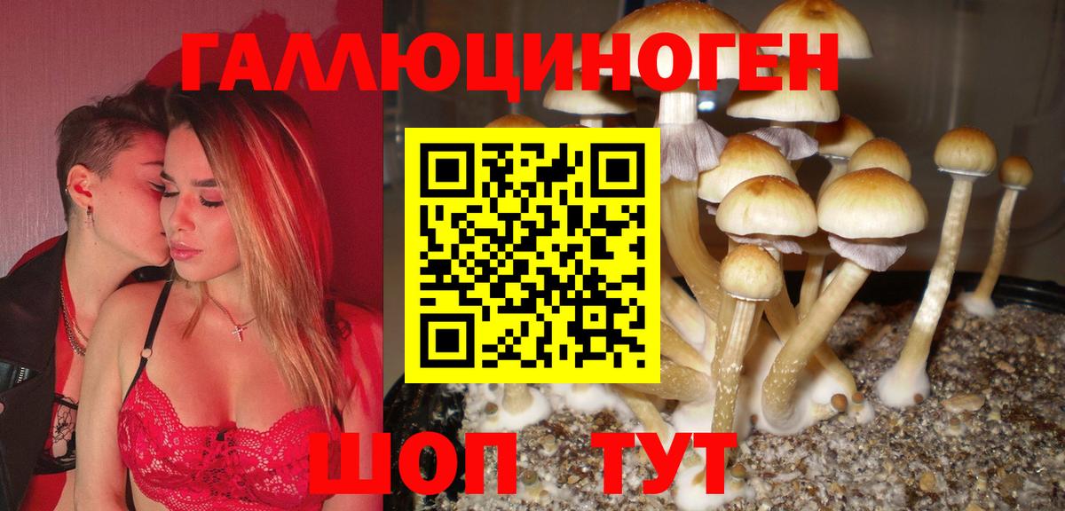Псилоцибиновые грибы Magic Shrooms  Псилоцибиновые грибы Psilocybine cubensis  Вход с VPN  где найти   Канаш 